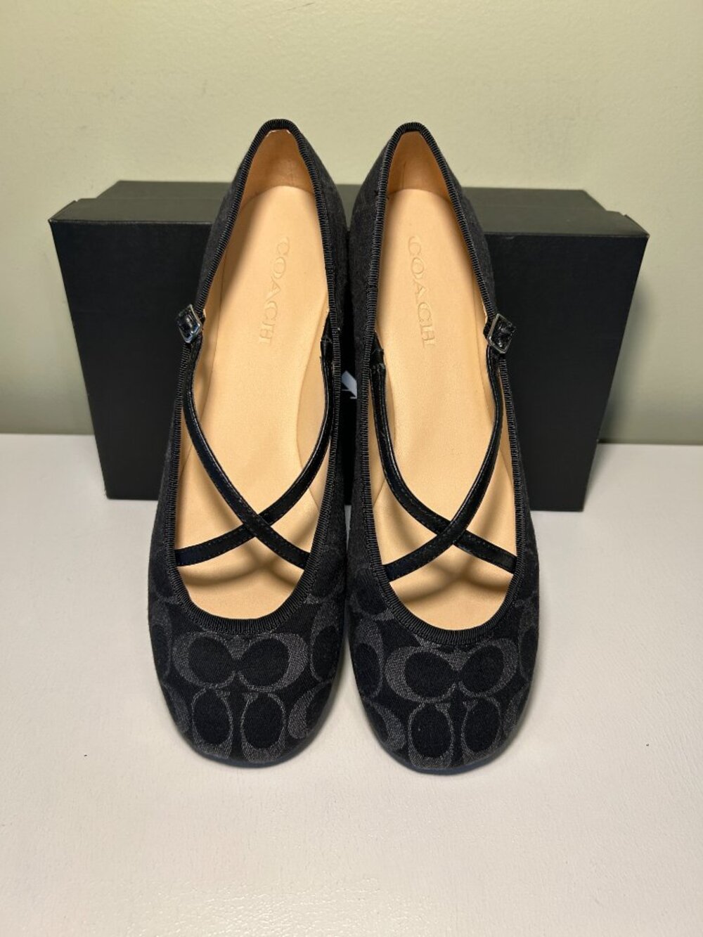 Coach Women's Phoebe Ballet Flats In Signature Denim